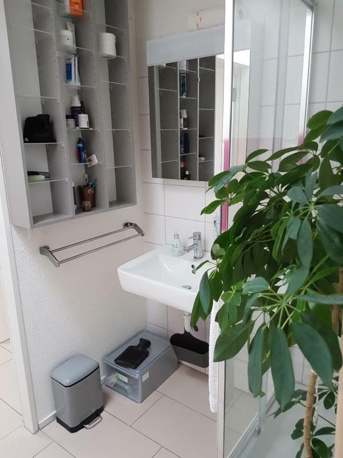 Zimmer In Penthouse-Wohnung Windisch Exterior photo