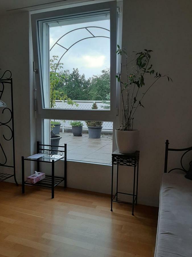Zimmer In Penthouse-Wohnung Windisch Exterior photo
